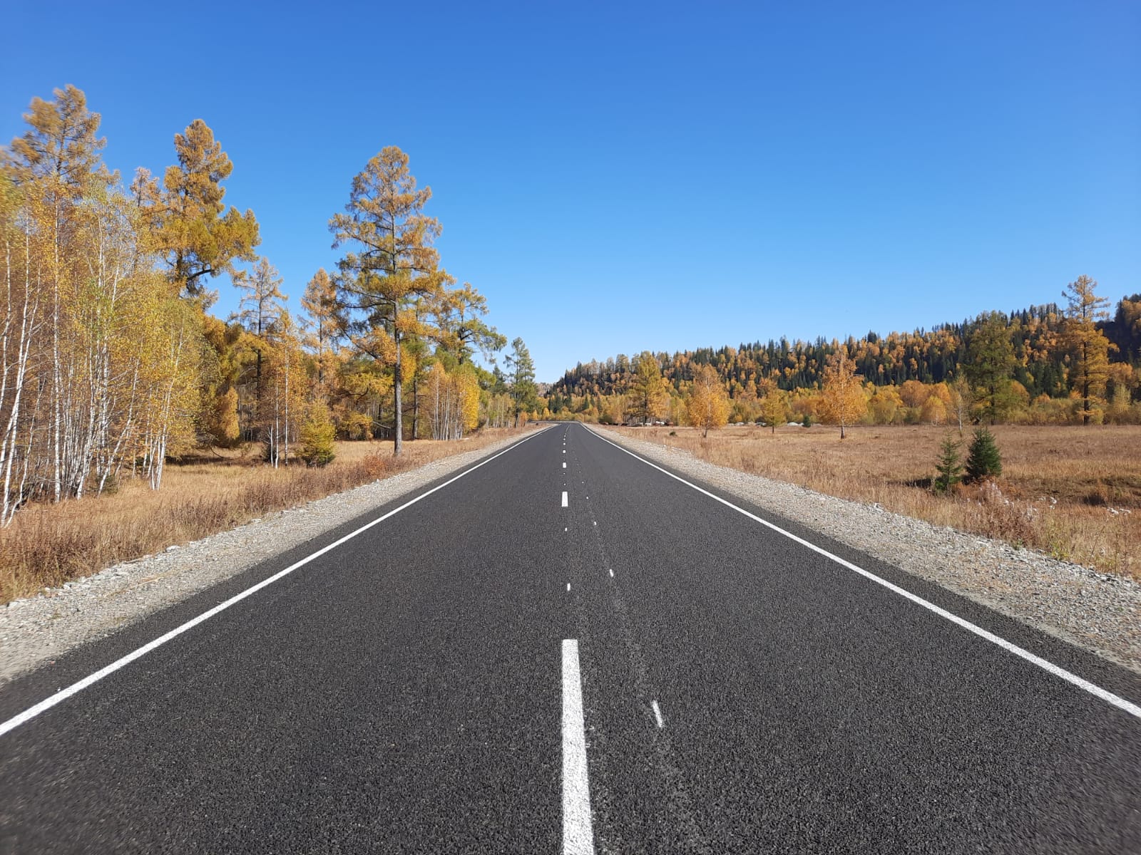 Продолжи дорожное. Автомобильная дорога в парке. Автодорога. Коллекторно-распределительная автодорога. Распределительная автомобильная дорога в парке.